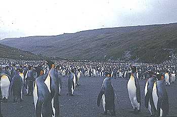 Photo Gérard Causidéry