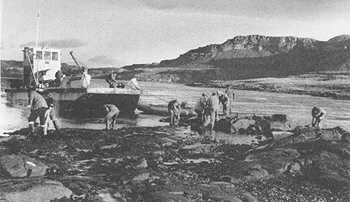 Pêche aux moules sur l'île Mussel