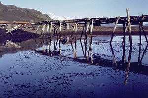 Port Jeanne D'Arc - Photo Jean Claude Boitel